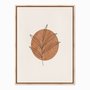 Quadro em Tela Canvas Folha com Círculo Marrom