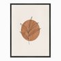 Quadro em Tela Canvas Folha com Círculo Marrom
