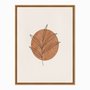 Quadro em Tela Canvas Folha com Círculo Marrom
