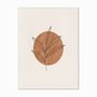 Quadro em Tela Canvas Folha com Círculo Marrom