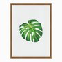 Quadro em Tela Canvas Folha Costela de Adão Quadro em Tela Canvas Folha Costela de Adão