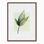 Quadro em Tela Canvas Folhas Estilo Retrô