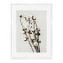 Quadro Em Tela Canvas Natureza Minimalista Algodão