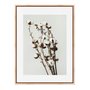 Quadro Em Tela Canvas Natureza Minimalista Algodão