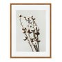 Quadro Em Tela Canvas Natureza Minimalista Algodão