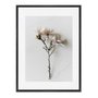 Quadro Em Tela Canvas Natureza Minimalista Flores