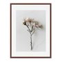 Quadro Em Tela Canvas Natureza Minimalista Flores