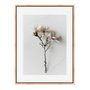 Quadro Em Tela Canvas Natureza Minimalista Flores
