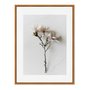 Quadro Em Tela Canvas Natureza Minimalista Flores