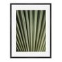 Quadro Em Tela Canvas Natureza Minimalista Folha Verde