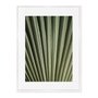 Quadro Em Tela Canvas Natureza Minimalista Folha Verde