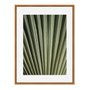 Quadro Em Tela Canvas Natureza Minimalista Folha Verde
