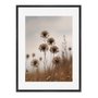Quadro Em Tela Canvas Natureza Minimalista Plantas Secas