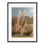 Quadro Em Tela Canvas Natureza Minimalista Plantas Secas