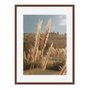Quadro Em Tela Canvas Natureza Minimalista Plantas Secas