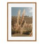 Quadro Em Tela Canvas Natureza Minimalista Plantas Secas