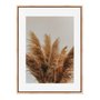 Quadro Em Tela Canvas Natureza Minimalista Plantas Secas