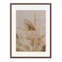 Quadro Em Tela Canvas Natureza Minimalista Plantas Secas
