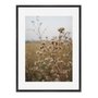 Quadro Em Tela Canvas Natureza Minimalista Plantas Secas