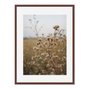 Quadro Em Tela Canvas Natureza Minimalista Plantas Secas
