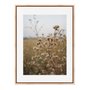Quadro Em Tela Canvas Natureza Minimalista Plantas Secas