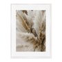 Quadro Em Tela Canvas Natureza Minimalista Plantas Secas