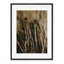 Quadro Em Tela Canvas Natureza Minimalista Plantas Secas