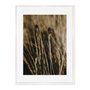 Quadro Em Tela Canvas Natureza Minimalista Plantas Secas