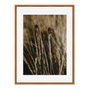 Quadro Em Tela Canvas Natureza Minimalista Plantas Secas