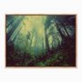 Quadro em Tela Canvas Névoa na Floresta