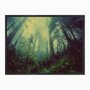Quadro em Tela Canvas Névoa na Floresta