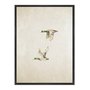 Quadro Em Tela Canvas Patos Vintage Farmhouse