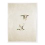 Quadro Em Tela Canvas Patos Vintage Farmhouse