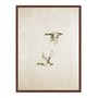 Quadro Em Tela Canvas Patos Vintage Farmhouse