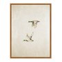Quadro Em Tela Canvas Patos Vintage Farmhouse