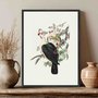 Quadro Em Tela Canvas Pombos De Fruta Vintage Farmhouse