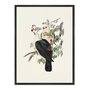 Quadro Em Tela Canvas Pombos De Fruta Vintage Farmhouse