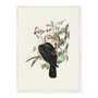 Quadro Em Tela Canvas Pombos De Fruta Vintage Farmhouse
