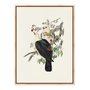 Quadro Em Tela Canvas Pombos De Fruta Vintage Farmhouse