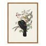 Quadro Em Tela Canvas Pombos De Fruta Vintage Farmhouse