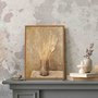 Quadro Em Tela Canvas Ramo De Grama De Pampas Seco Vintage