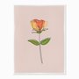 Quadro em Tela Canvas Silhueta Flor Colorida com Fundo Rosa
