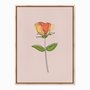 Quadro em Tela Canvas Silhueta Flor Colorida com Fundo Rosa