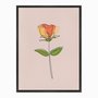 Quadro em Tela Canvas Silhueta Flor Colorida com Fundo Rosa