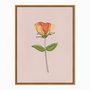 Quadro em Tela Canvas Silhueta Flor Colorida com Fundo Rosa