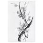 Quadro em Tela Canvas Ume Pintura de Galhos de Amexeira no Estilo Sumiê