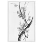 Quadro em Tela Canvas Ume Pintura de Galhos de Amexeira no Estilo Sumiê