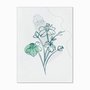 Quadro em Tela Canvas Várias Flores