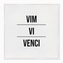 Quadro em Tela Canvas Vim Vi Venci