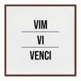 Quadro em Tela Canvas Vim Vi Venci